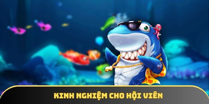 Kinh nghiệm cho hội viên Kinh nghiệm cho hội viên