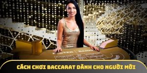 Cách chơi Baccarat chi tiết - Tham gia giải trí dễ dàng